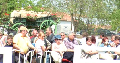 Akad&aacute;lyok_k&ouml;z&ouml;tt a n&eacute;zelődők foto_dm.jpg