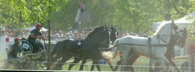 Kov&aacute;cs_Imre__erd&eacute;ly__fogata_porfelhőben.(foto.dt.)jpg