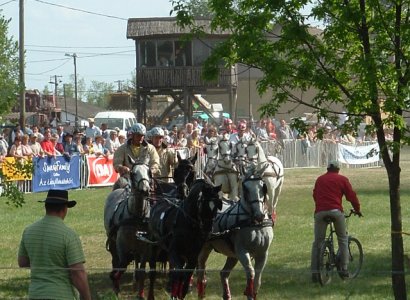 N&eacute;gyesfogatok_nyugodt_galoppja_foto_dm.jpg