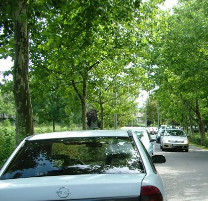 Ez pedig a parkol_&Aacute;SZ.jpg