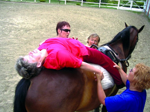 Gy&oacute;gyul&aacute;s l&oacute;h&aacute;ton.jpg