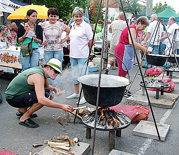 T&aacute;pl&aacute;lni kell a t&uuml;zet.jpg
