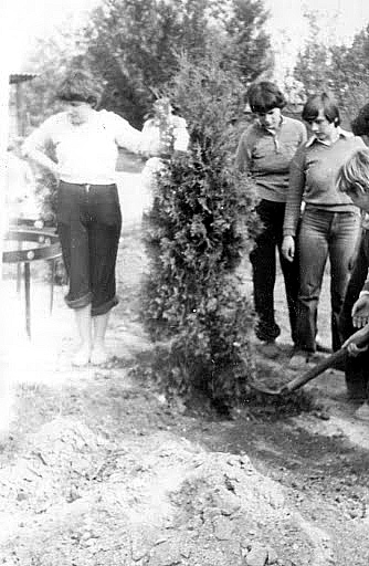 1981. május 9-én békefát ültettek a gyerekek a nevelőotth​on udvarán.