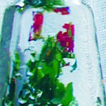 Illusztrácó. Fotó dt. 