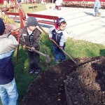 A Damjanich utcai óvodások az óvoda udvarát szépítik.