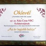 Az elismerő oklevél. 