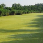 A Kurca nyári látképe.