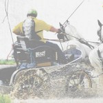 Hajtsunk együtt a győzelemért!