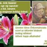 Az Idősek Világnapjára.