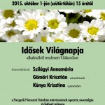 Idősek világnapi gálaműsor a Megyeházán.