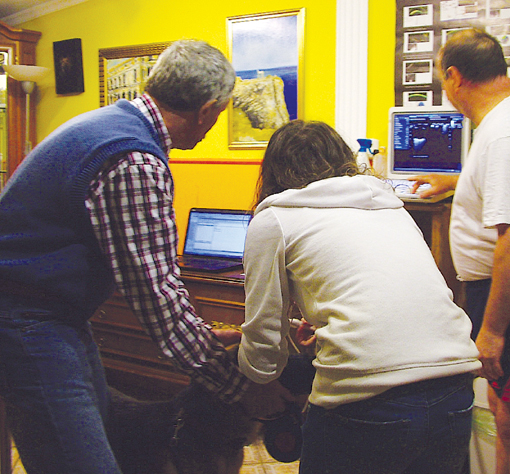 Rex felülvizsgálata.