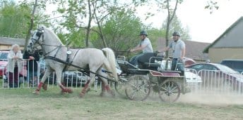 Hajtó & segédhajtó tempósan kezd_Fotó: dt.jpg Hajtó & segédhajtó tempósan kezd_Fotó: dt.jpg