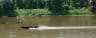 A Tisza &eacute;s a Kurca v&aacute;rosa.jpg