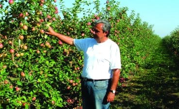 Jernei_Istv&aacute;n_&Aacute;th&uacute;zta_sz&aacute;m&iacute;t&aacute;sainkat_a_kora_tavaszi_fagy.jpg