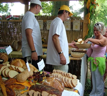 A_Varga_P&eacute;ks&eacute;g_k&oacute;stol&oacute;ja k&ouml;zben.jpg