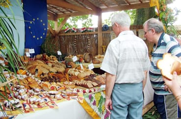 A_g&aacute;dorosi_Varga_P&eacute;ks&eacute;g_term&eacute;kei.jpg