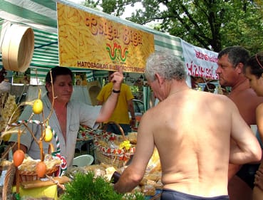Csiga_biga_t&eacute;szta.jpg