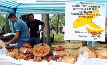 EN_ESZ_20_Kft_Nagym&aacute;gocsr&oacute;l.jpg