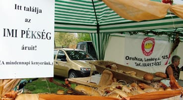&Ouml;nmag&aacute;&eacute;rt_besz&eacute;l.jpg