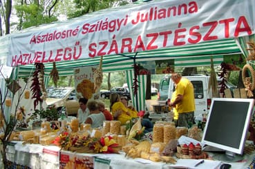 Sz&aacute;razt&eacute;szta_term&eacute;kaj&aacute;nl&oacute;.jpg