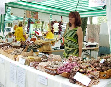 Zsanna_Manna_az_eg&eacute;szs&eacute;ges_term&eacute;kcsal&aacute;d.jpg