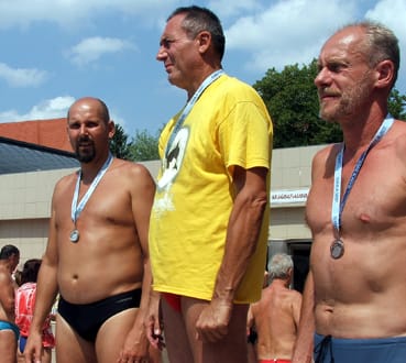 A_delfin_k&ouml;telez.jpg