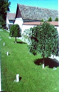 Gondozott_port&aacute;k.jpg