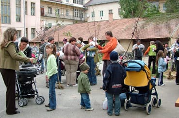 Mindenki_választott.jpg Mindenki_választott.jpg