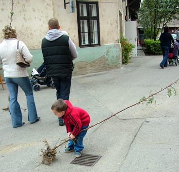 Testvéri_önfeláldozás.jpg Testvéri_önfeláldozás.jpg