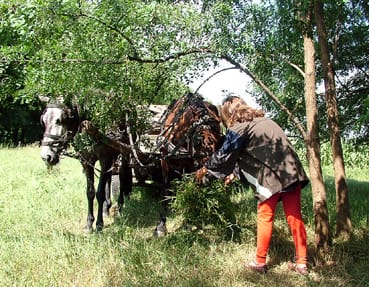 Lovak-etetése