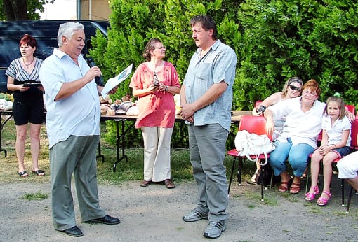 A sportklub-tevékenységének-méltatása