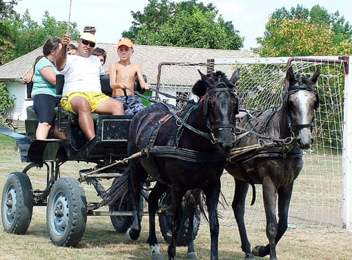 Fogatozás