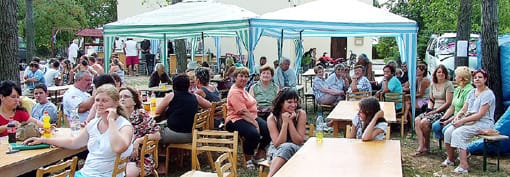 Közönség