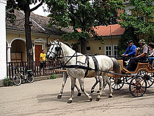 Árpádhalom községben.