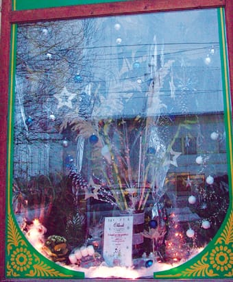 Illusztráció-2007-ből Ági virágbolt