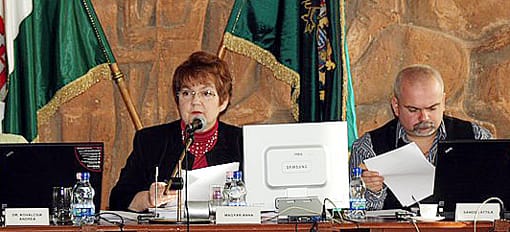 Magyar-Anna-elnököl
