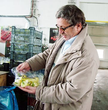 Magyar paprika Szentesről az üzletláncoknak