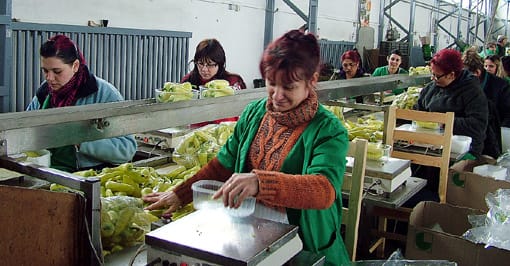 Pillanatfelvétel a csomagolásról.