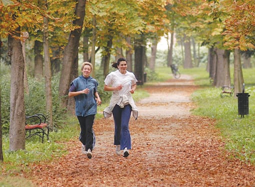 A sportolók paradicsoma a liget (fotó Vidovics Ferenc)