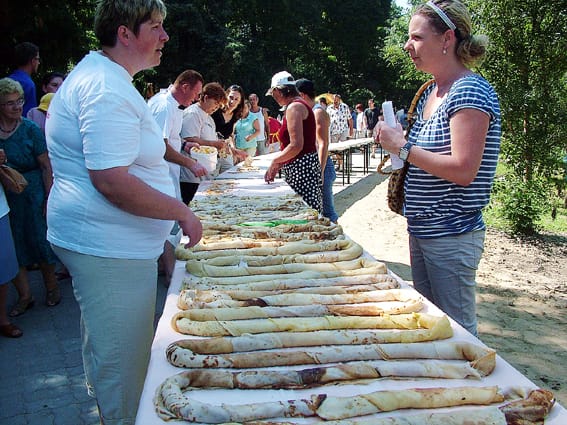 Közel 100 méteresre nőtt a kígyó