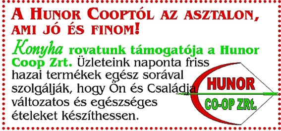 Hunor-tamogatás