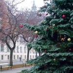 Városközpont karácsonyfával. Fotó dt. archív.
