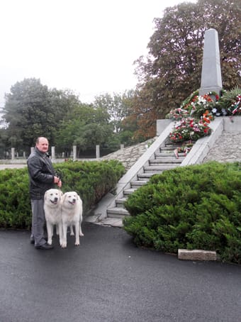 Nemzetközi verseny és kiállítás után Aradon 2011 őszén.jpg