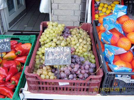 Olasz szőlő magyarként feltüntetve.