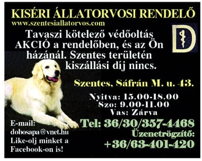 A Kiséri Állatorvosi Rendelő figyelemfelhívása.
