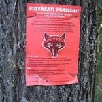 Veszettség elleni védekezésről plakát.