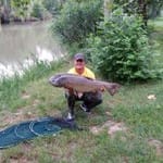 Náfrádi György és a 21,5 kg, 102 cm hosszó, 78 cm átmérőjű amúr 2013.06.22, Kurca strandi szakasz.