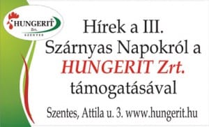 Hírek a szárnyasnapokról.