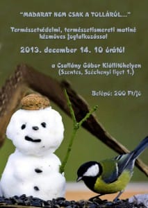 Madarat nem csak tolláról. 
