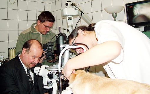 A háttérben lévő monitoron bárki követheti a műtét folyamatát.